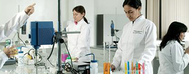 Industria Alimentaria